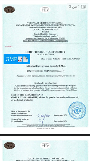 GMP certification document with blue and white color scheme